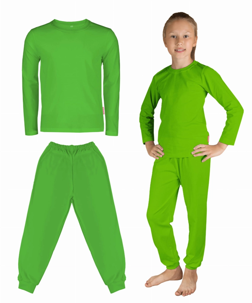 ZESTAW KOMPLET DZIECIĘCY ZIELONY ZIELONA BLUZKA I SPODNIE ZE SPODNIAMI KOSTIUM STRÓJ NA BAL PRZEDSTAWIENIE WYSTĘP  ŻABA DRZEWO SHREK LIŚĆ DLA DZIECI.jpg