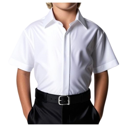 biała elegancka koszula krótki rękaw tęga szeroka.jpg
