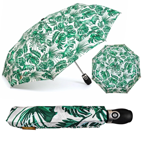 zielona monstera.jpg
