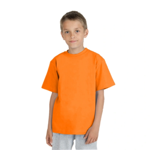 sdfwerfw.jpg
